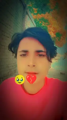 #ppkritt #