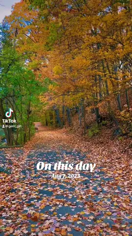 #onthisday #gerrigirl #michigan #fallfoliage #autumn #puremichigan 