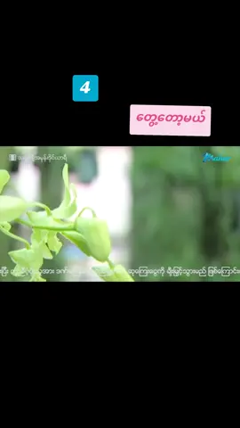 #အချစ်နဲ့အမုန်းဒိုင်ယာရီ #fypシ゚viral #foryou #viewတွေရှယ်ကျ #မြန်မာဇာတ်ကားကောင်းများ #အောင်ရဲလင်းဇာတ်ကားလေးအရမ်းကောင်းတယ် #ဒီတစ်ပုဒ်တော့fypပေါ်ရောက် #ဒီချိန်မှတင်တာviewတက်ပ့မလား🥺 #ဒီတစ်ပုဒ်တော့fypပေါ်ရောက်ချင်တယ် 