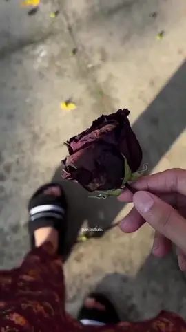 He Tamna Hme Tumhe Dulhan Bnye 🫠❤️‍🩹 #fypシ゚ #fypviraltiktokシ゚☆♡ #fypviralシ #growmyaccount #goviral #viralditiktok #viral #faisoaesthatic #foryoupageofficial 