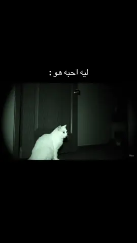 منشنه#foy #foryou #احبك #مالي_خلق_احط_هاشتاقات #اكسبلورexplore 