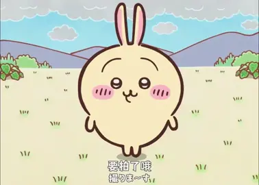 超会拍照的宝宝#chiikawa #猛女必備 #吉伊卡哇 #烏薩奇 #吉伊 #小八 #wolink#funny#wolink#foryou#fyp