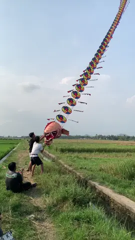 pristell #trainnaga #pelayangjogja #celenggank #layangannaga 
