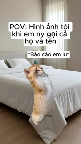 1001 moment khi yêu nhau (Part 8) #POV #memecat #capdoi #xuhuong #tiktokvn #funnyvideo #nytoi 