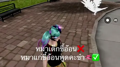 หมาแก่มานี่มา😘#ฟีดดดシ #tiktok #คอนเทนต์ #เธรด 