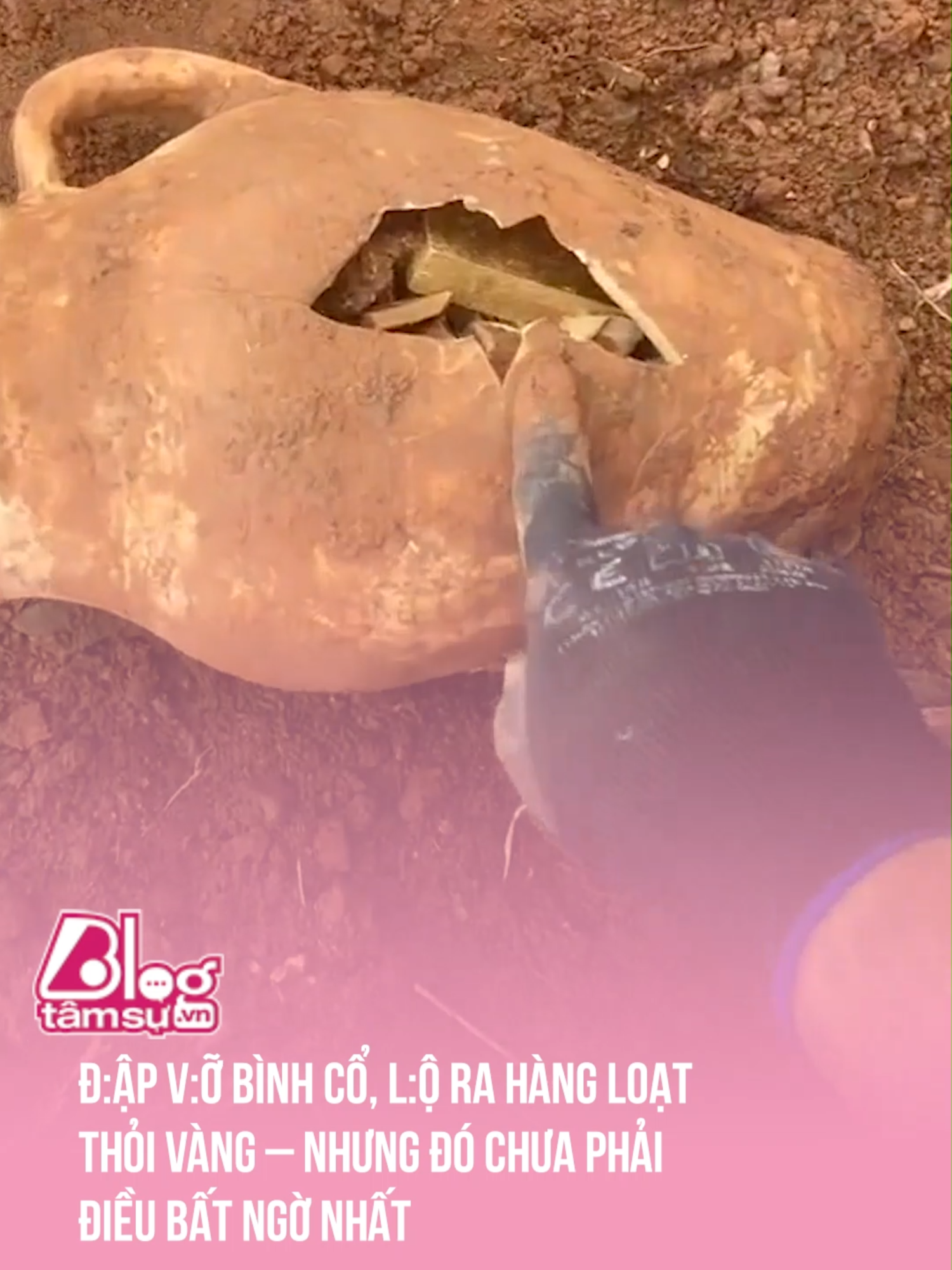 Cả 1 gia tài luôn ấy chứ 😱😱 #tqdshni #btsmedia #blogtamsu #discovery #khampha #video #viral #videoviral #trending #xuhuong #clips #facts #fact #khoanhkhac #explore #exploration #explorer #hunt #hunting #treasure