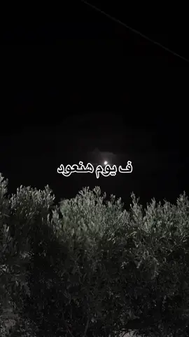 فيوم هنعود ؟ #قوالب_تيك_توك #قوالب_تيك_توك_جديده #قالب_تيك_توك #قالب_تيك_توك_جديد 