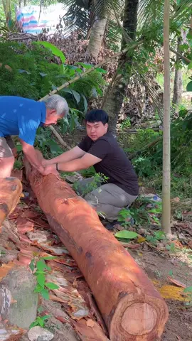 Một ngày lao động vất vả bữa nay có món mít kho tương hột, gỏi mít , nấm xào thập Cẩm @Hoàng Thịnh An #duchoa1509 #nauankechuyen #nauankhongkho#monngonmoingay  #thamngaicuu #hoangthinhan #goingaicuu