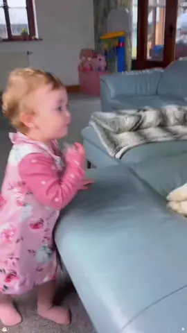 Golden Retrievers and Huskies' Love for Children#tiktok #Love #usaus #doglover#protect #baby #friend