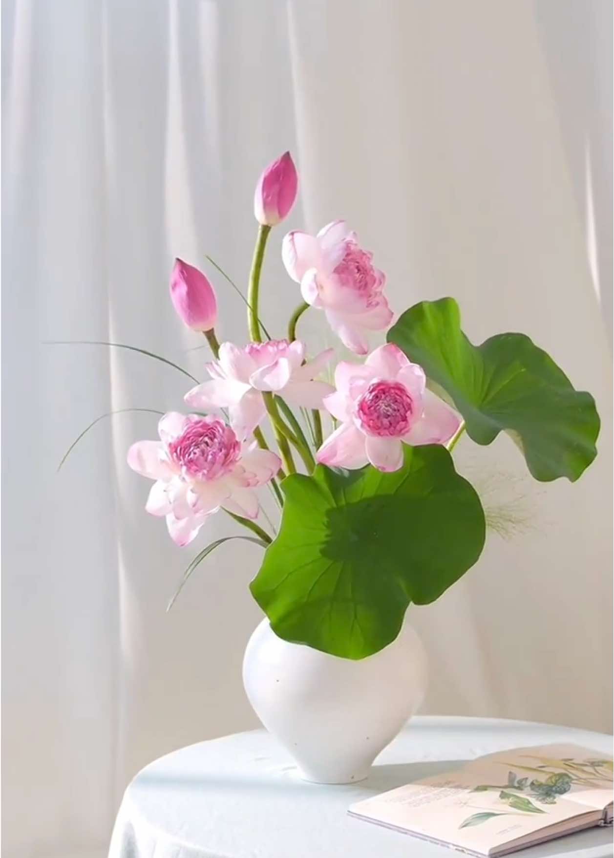 ハスの花🪷どうコーデもきれい  How do lotus 🪷 look good #东方美学 #flowers #花器 #花瓶 #荷花 #蓮の花 #夏天 