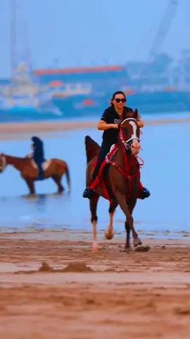 #horse #explore #horseriding #beach #equestrian 