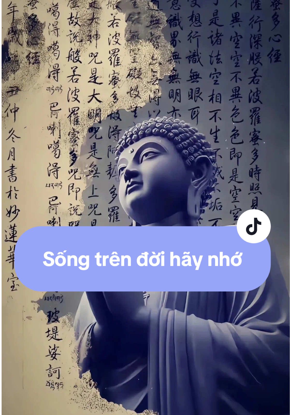 Sống trên đời hãy nhớ…#binhan #tamtrang #phatphapnhiemmau #thuctinh #camxuc #xh #cs #capcut