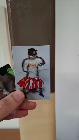 some more magnets going out today! 