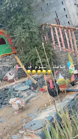 #المملكه_العربيه_السعوديه 