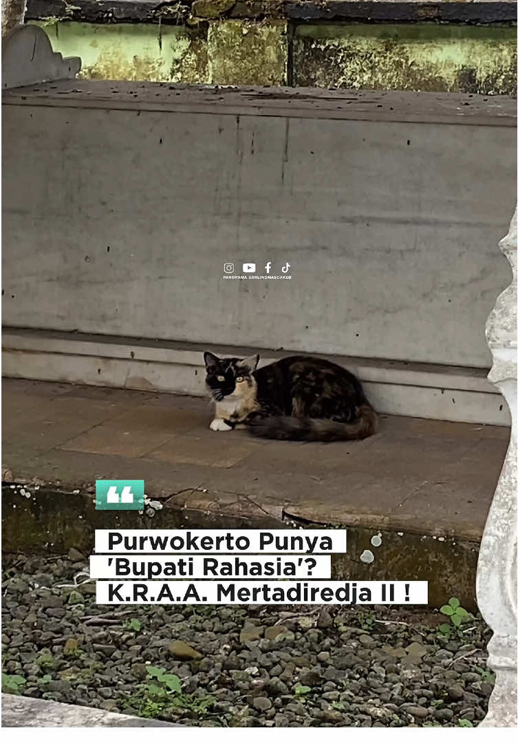🪦 Makam dan Warisan 1. Makamnya berada di Kompleks Pemakaman Keluarga Mertadiredjan, Kalibogor, Purwokerto. 2. ⁠Tidak dimakamkan di Dawuhan, tempat para Bupati utama Banyumas dikuburkan, karena ia bukan bagian dari jalur resmi bupati utama, melainkan pemimpin cabang administratif. Kanjeng Raden Adipati Mertadiredja II (K.R.A.A Mertadiredja II) adalah seorang tokoh bangsawan dan pejabat penting di wilayah Banyumas pada pertengahan abad ke-19. Ia dikenal sebagai Wedana Bupati Kanoman — semacam bupati muda atau pembantu — yang memerintah bagian timur Banyumas, khususnya wilayah Purwokerto, sebelum wilayah itu berdiri sebagai kabupaten sendiri. 🧾 Identitas dan Latar Belakang 1. Nama lengkap: Kanjeng Raden Adipati Aria Mertadiredja II 2. Jabatan: Wedana Bupati Kanoman (wilayah timur Banyumas) 3. Masa jabatan: Sekitar 1840-an – 1860-an (perkiraan) 4. Ayah: K.R. Adipati Mertadiredja I 5. Wilayah kekuasaan: Daerah timur Kabupaten Banyumas (Purwokerto dan sekitarnya) 6. Dimakamkan di: Pesarean Mertadiredjan, Kalibogor, Purwokerto 🧭 Kesimpulan K.R.A. Mertadiredja II adalah tokoh penting dalam sejarah Banyumas yang memimpin wilayah Purwokerto pada masa kolonial. Meskipun tidak termasuk dalam daftar resmi Bupati Banyumas, peran dan pengaruhnya sangat besar dalam perkembangan identitas wilayah Purwokerto. #SejarahBanyumas   #BanyumasHeritage   #PurwokertoTempoDulu   #TrahMertadiredja   #CeritaLokal   #BudayaJawa   #TokohJawa   #PetilasanJawa   #NapakTilas   #misterijawa 