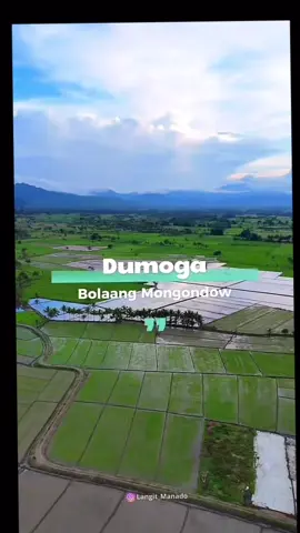 jgn lupa tuts 24agustus pengucapan dumoga raya🥳  #dumoga  #dumogapunya🔥  #mogoyunggung⚔️⚔️ 
