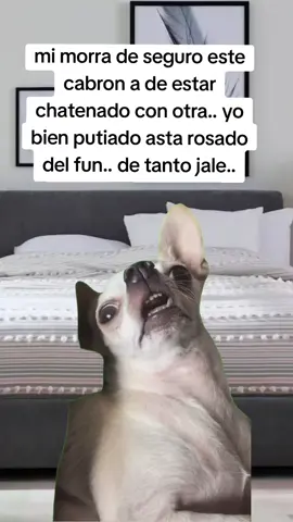 #CapCut #😅😅#fypシ #valioquesoraza@DestacarOfficial #LIVEIncentiveProgram 