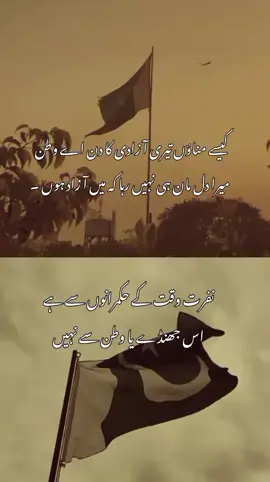 14 August 🙌🏻🇵🇰 repost please 🥺#1millionaudition #aesthetic #fyp #foryoupage #urdupoetry #poetrystatus #fyp 