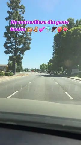 #LIVEIncentiveProgram #LIVEStory #PaidPartnership #👑🧸 #california 