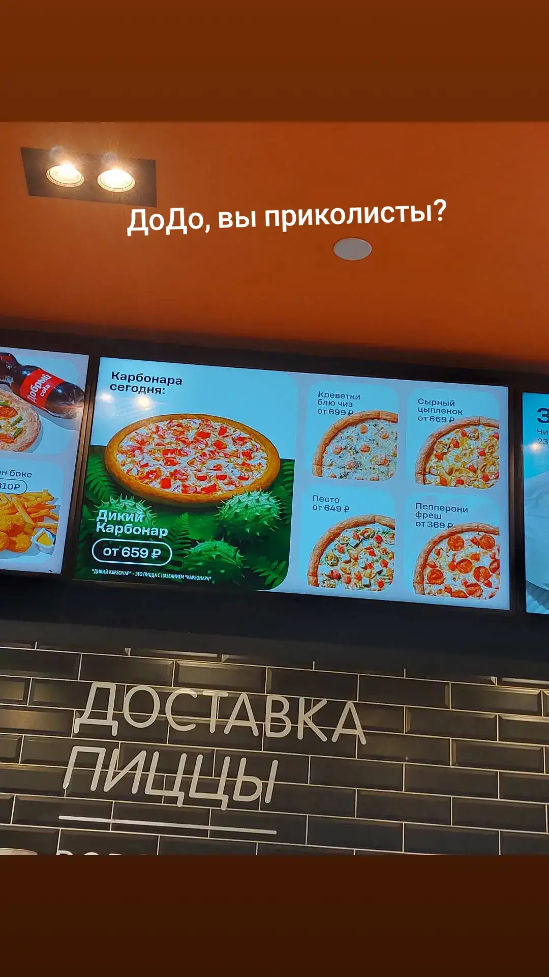 #дикийогурец