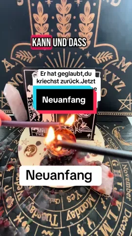Finde ich lustig 😝 Private Legungen unter Link in Bio #kartenlegen #kartenlegerin #wahrsagen #wahrsagerin #hellsehen #ex #neuanfang #liebeskummmer 