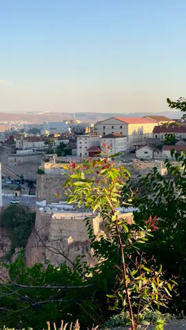 #قسنطينة⚜️ #⚜️اهل  المحبة#سيرتا #constantine_dz #cirta #💚 صالح باي#