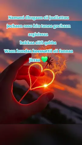 #oromo #oromtiktok❤️💚❤️ethiopiantiktok💪💪❤️ #ethiopian_tik_tok🇪🇹🇪🇹🇪🇹🇪🇹 #oromotiktok❤️💚❤️oromiy❤🖤🤍 #oromotiktok #oromotiktok❤️💚❤️ethiopiantiktok #fy #fypシ゚ #viraltiktok #ethiopian 