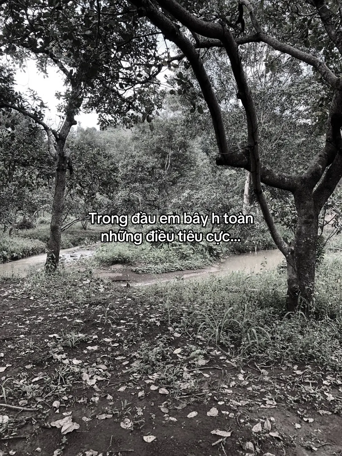 Vì suy nghĩ quá nhiều…. #xuhuong #tamtrang #buon_tam_trang #overthinking #tieucuc #suynghi #buon #xuhuongtittok #cap #xuhuonggggggggggggggggg 