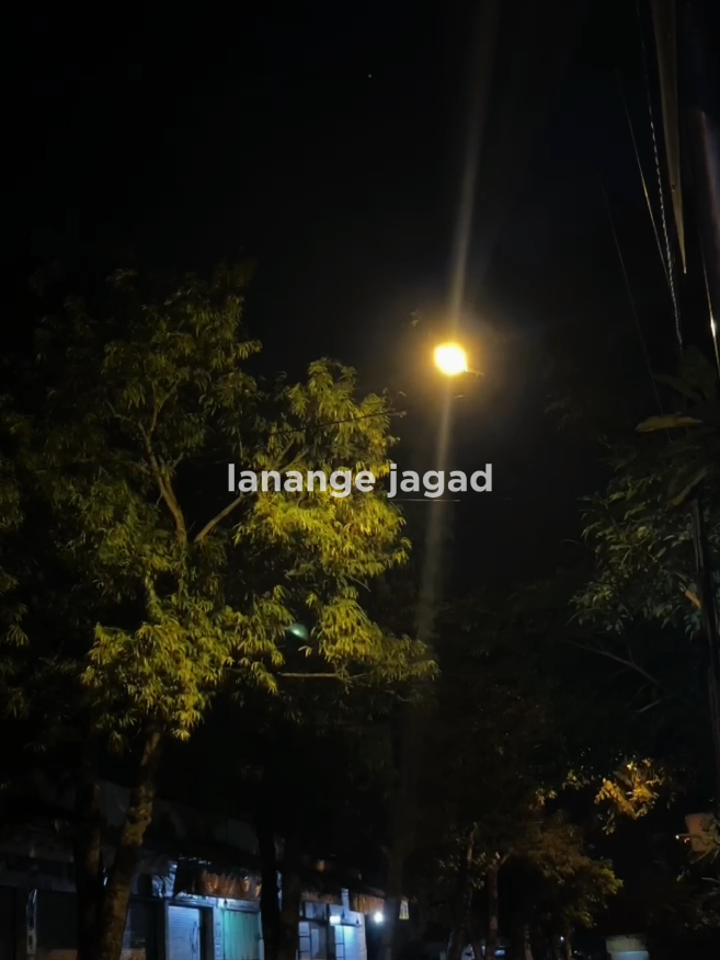 lanange jagad #lanangtenan #liriklagu #lagujawa  #mocilfvnky #lekpang #fyp 