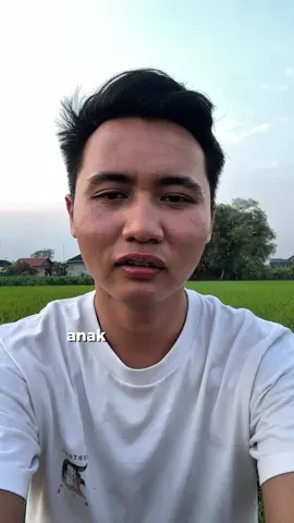 #pertanianindonesia #petani #petaniindonesia🇮🇩🇮🇩🇮🇩🌿🌿 #farming 
