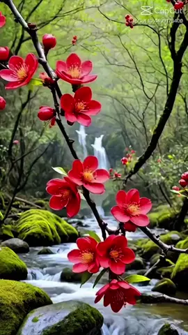 Một đời an yên 