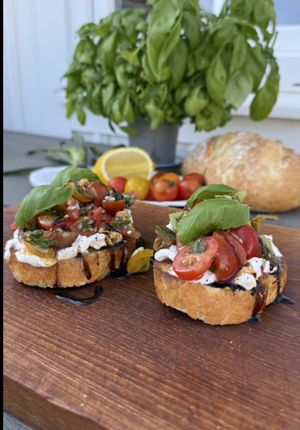 Sommarens fräschaste och godaste förrätt? Full med smak i all sin enkelhet och den perfekta aptitretaren och starten på en härlig middag. Passa på att göra en Bruschetta nu när tomaterna är som bäst🍅🇮🇹 Recept (2 Bruschetta) 2 skivor lantbröd 1 burrata Ca 10-12 små blandade tomater  1 färsk rödlök 0,5 vitlöksklyfta 1 msk olivolja 1 klyfta citron Salt och peppar  Gör så här: 1. Skär upp tomaterna i mindre bitar, lägg i en skål. 2. Finhacka rödlök och vitlök. Lägg i skålen. 3. Hacka upp basilika och lägg i skålen. 4. Pressa i citron och ringla över olivolja. Smaka av med lite salt och peppar. 5. Ringla över olivolja och grilla eller stek brödskivorna så dom får en fin frasig yta. 6. Lägg en halv burrata per brödskiva och bred ut. Salta och peppra lite lätt. 7. Lägg ut tomaterna över burratan, avsluta med att ringla över Balsamico om så önskas. #förrätt #bruschetta #starter #italianfood #tomater #fyp #middag #dinner #forypupage #foodtiktokfood #dinner #DinnerIdeas #FoodTok #snack #snacks #yum #yummyfood