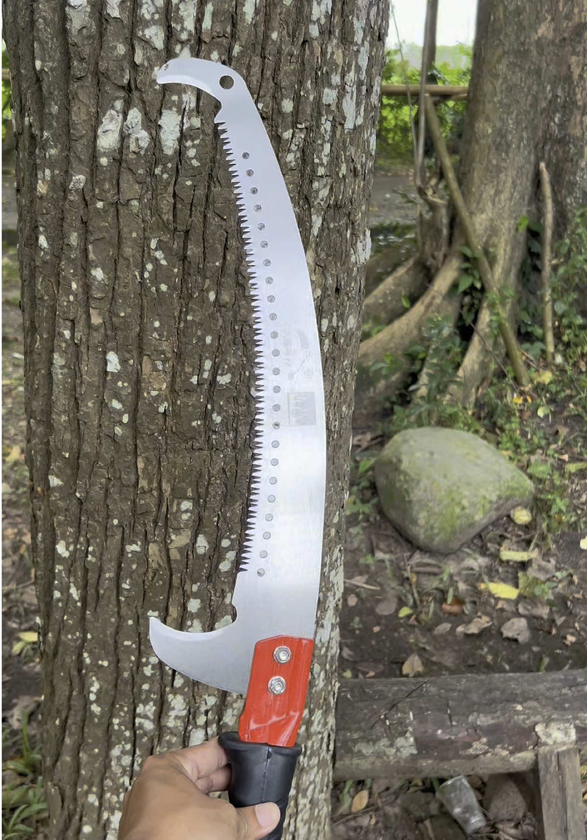 BRANCH SAW FOR PRUNING OR CUTTING HIGH BRANCHES          high branch saw with pole branch saw branch saw pole branch saw heavy duty branch saw 6 meter branch cutting saw branch saw cuter branch cutting saw with stick branch saw 6 mwtw branch saw blade #branchsaw #branchcutting #pruning #creatorsearchinsights 