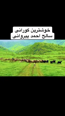 #لقطة_فائقة_الثبات #دەنگی_خالد_احمد #لایکوفۆڵۆم_بکەن_بۆبەردەوام_بوون❤ #هەولێر_سلێمانی_دەهۆک_ڕانیه_کەرکوک #سوران_شەقلاوە_بەستورە_مەسیف 