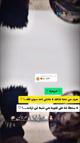 الرد على @1_2_3yaseen @👑شۣۗـۙوُشۣۗـۙوُ👑ام تاليـن @موسى حفيد الاشراف 🦅🇸🇩🦅515 