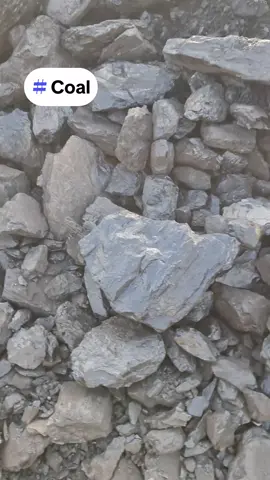 Gar 6000 coal, if you are interested, please submit an official offer directly. We do not provide document distribution services without a draft transaction contract. #coal #factory 
