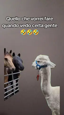 #Meme #MemeCut #CapCut 