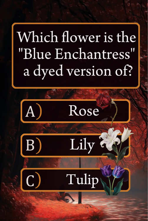 Test Your General Knowledge Challenge!#quiz#generalknowledge #trivia#education#learning
