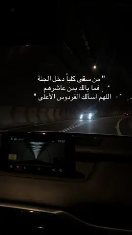 #اقتباسات #explore #الشعب_الصيني_ماله_حل😂😂 