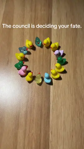 If you do not trust yourself, trust the council. #thecouncil #thecouncilhasdecided #duck #ducks #resinduck #resinducks #Love #matter #youmatter #youareloved #spreadthelove #compensation #rose #trust 