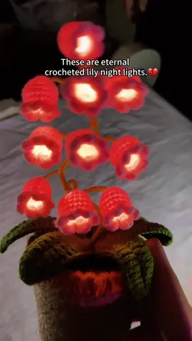 602-Get this for her to make her entire year better 🫶✨#crochetflower #flowers #lily #gift #knitting #knittingtiktok #girlgifts #birthday #birthdaygirl #lovegift #crochet #handmade #cute #beautiful #fyp #giftideas #girlgifts #lovegift #boyfriend #girlfriend #lamp #videowave #Lovemyhome #dealsforyourdays #lovemyhome #dealsfordays