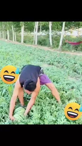 🤣🤣🤣🤣🤣