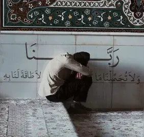 الله يعلم كل شيء  . . . . #شيعة #الامام_علي_بن_ابي_طالب #السيد_محمد_رضا_الشيرازي_رحمه_الله #اكسبلور #foryou #foryoupage 