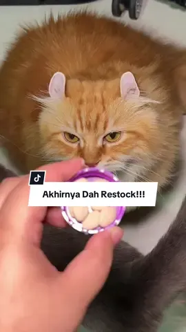 Replying to @Nizza🐼 finally vitamoxx dah restock! Tapi kena cepat sebab seller restock sikit je kalini. Siapa cepat dia dapat. #vitamoxx #vitaminkucing #makanankucing #kucing #oyen 