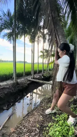 Tổng Hợp Các Thú Vui ở MIỀN TÂY#myquyen622 #phượtmientay #xe50cc #Vlog #vairal #mientaychoigi 