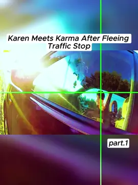 Karen Meets Karma After Fleeing Traffic Stop #copsoftiktok #cops 