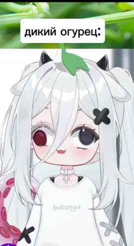 Дикий огурец #Айвири #vtuber #Айви #ruvtuber #iwyry #втубер #витубер #рувитубер #аниме #anime #рекомендации #реки #аниметян #brainrot 