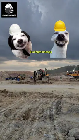 Semangat cari rejeki yaa cing 🙌🙌🙌 #tambang #mining #operator #catmemes #mekanik 