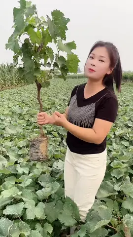 #上热门 #上推薦 #上推薦通知我 