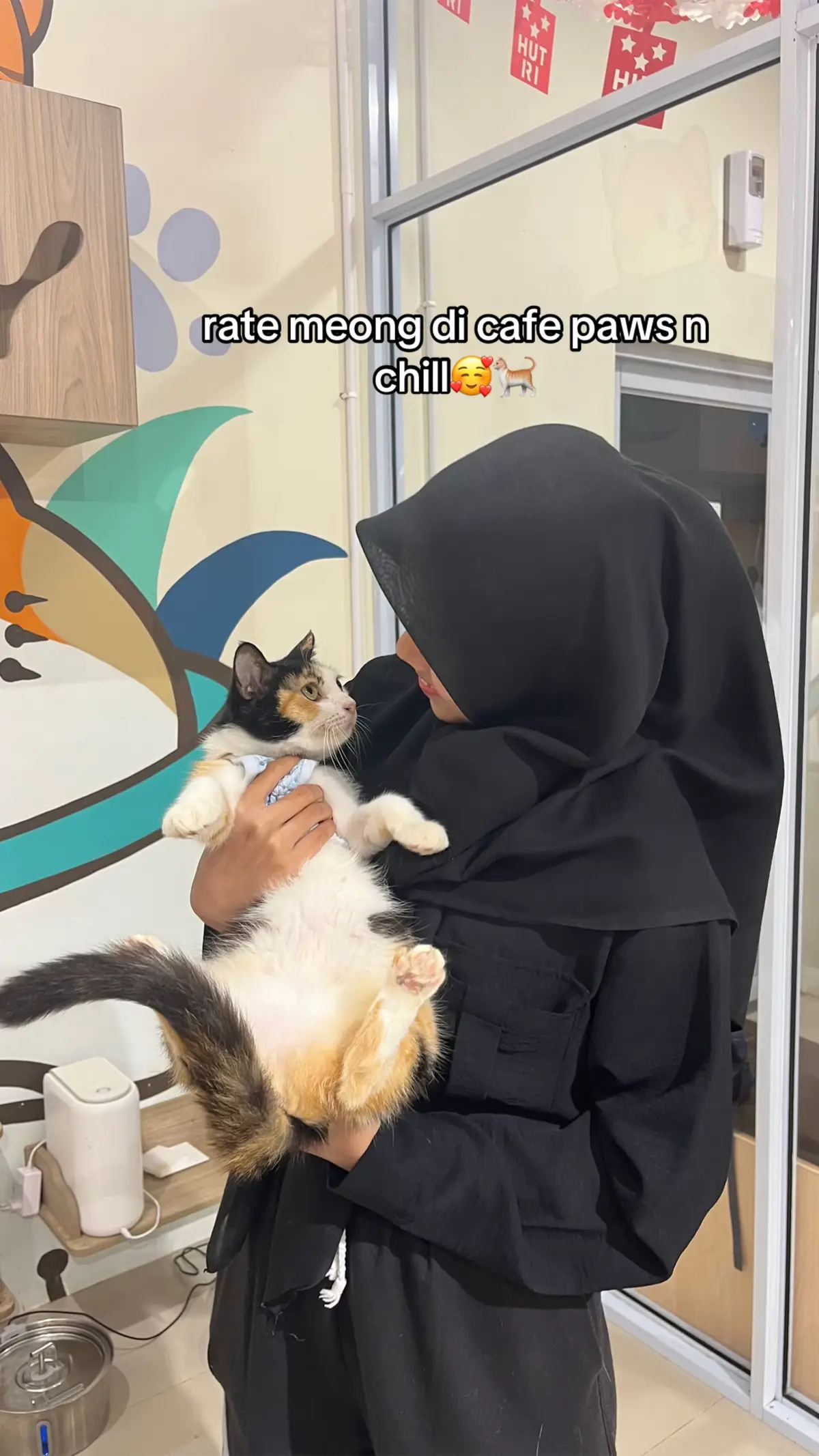 cafe ter gemashhhh😫💗 rasanya mau datang tiap hari🥹 @Pawsnchill_ @♈️  #pawsnchill #cafebatam #cafekucingbatam #kucing #fyp 